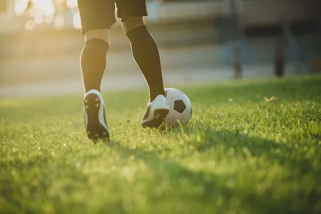 米乐体育在线官网 官方入口图